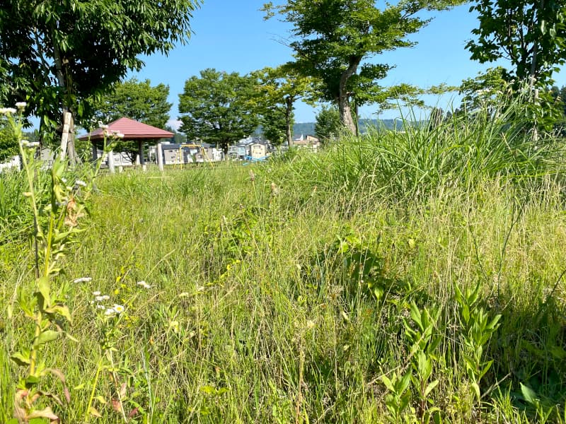 地域美化活動実施
