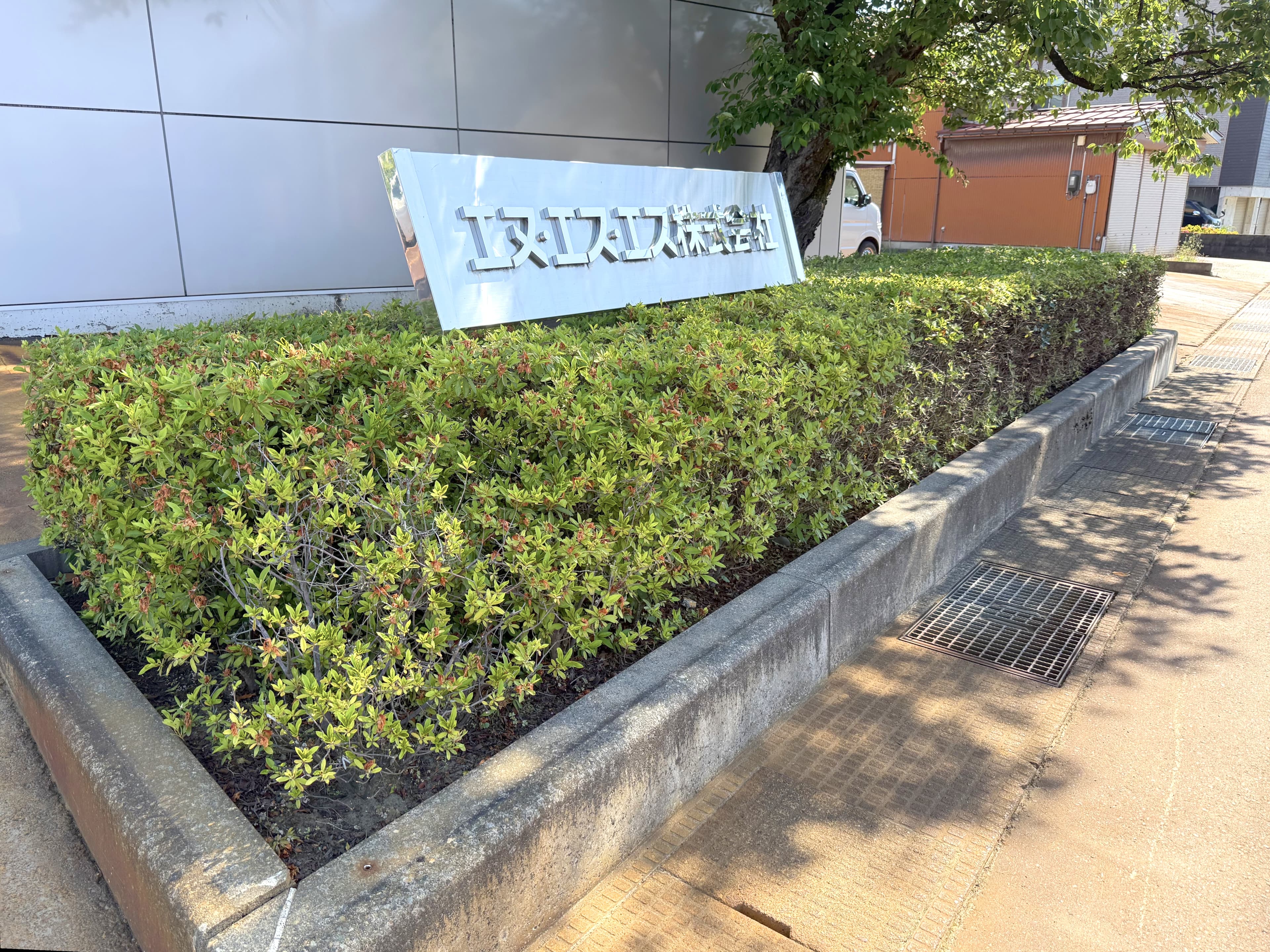 正面玄関前のつつじが美しく整いました