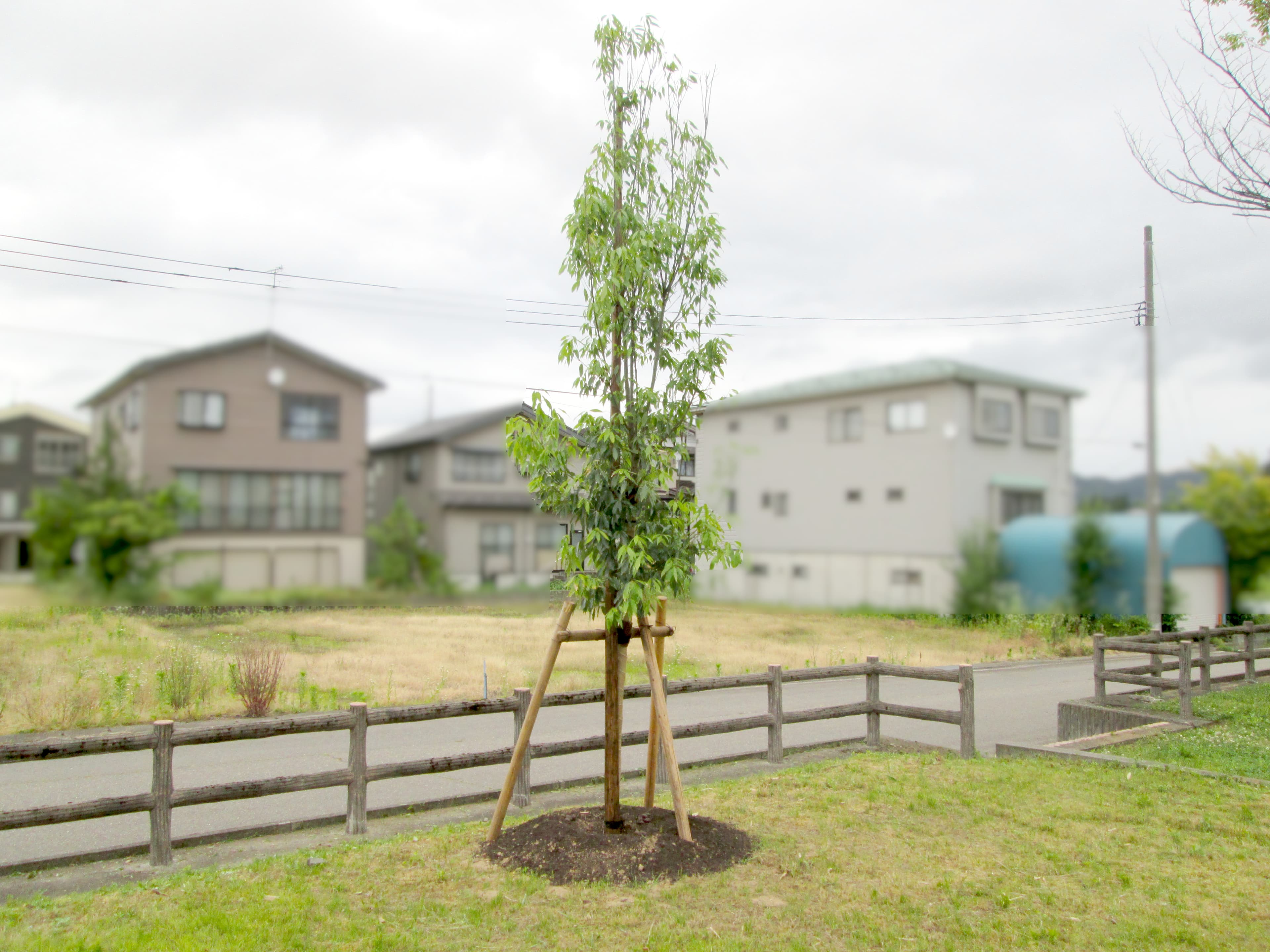 小千谷市衛生班長連絡協議会様より表彰されました